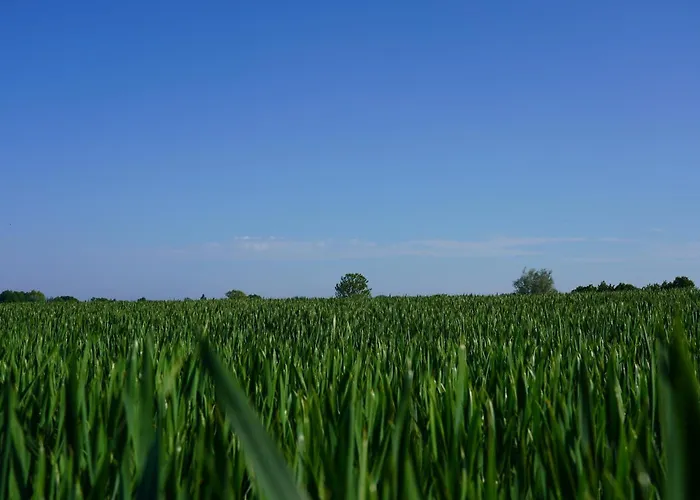 Ferienhaus Carlotta *